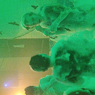 Img 20230104 202005